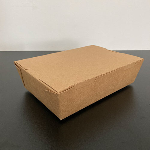 Natural Kraft  Lunch Box Without Window