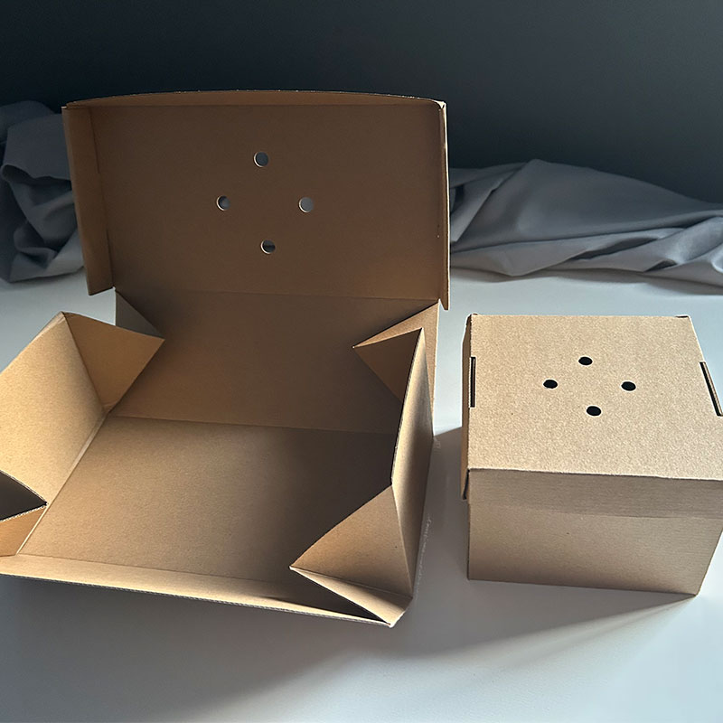 Premium burger boxes-Medium