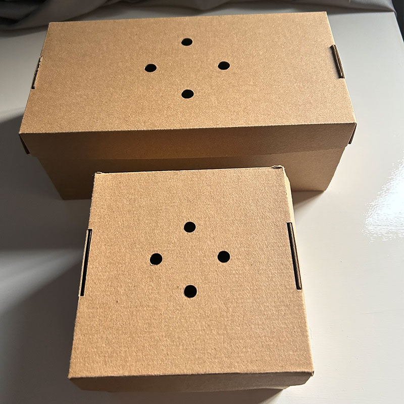 Premium burger boxes-Medium